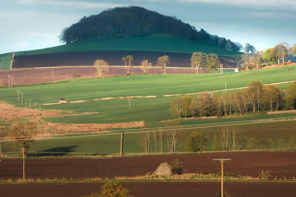istock Moonzie Farmland, Fife 1496195465