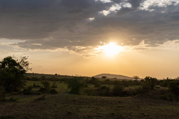 istock Iconic sunset scene over the Masaai Mara Reserve in Kenya 1496197280