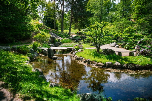 Rectangular homemade concrete pond with young colorful carps and water flowers as a backyard design element. Country lifestyle