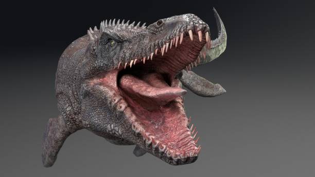 Mosasaurus  pose render of background. 3d rendering stock photo