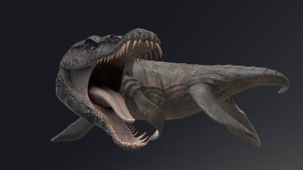 Predator X -  Pliosaurus funkei  pose render of background. 3d rendering stock photo