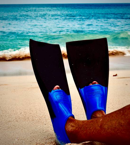 istock Showcasing Her New Diving Fins 1496206333