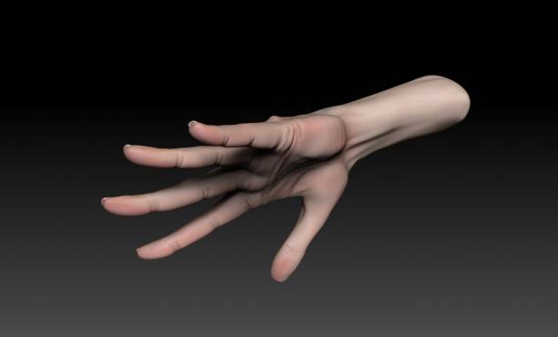 istock Female Arm and Hand Sculpt pose render of background. 3d rendering 1496206605