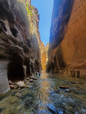 Female walking in the river using walking sticks and carrying backpacks in the Narrows at Zion national park Utah