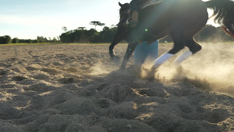 Horse going around the barrel close up