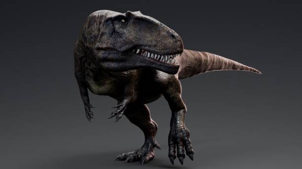 Giganotosaurus  pose render of background. 3d rendering stock photo