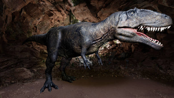 istock Giganotosaurus  pose render of background. 3d rendering 1496208214