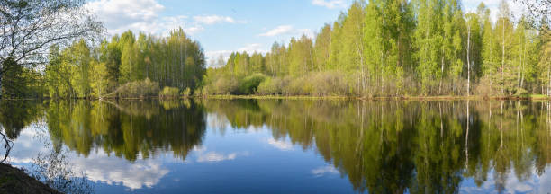 istock Panorama of the spring river in the woods. 1496208217