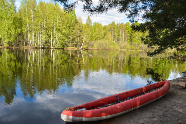 istock Traveling along the river in a boat. 1496208404