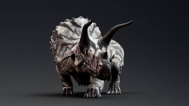 istock Triceratops pose render of background. 3d rendering 1496209660