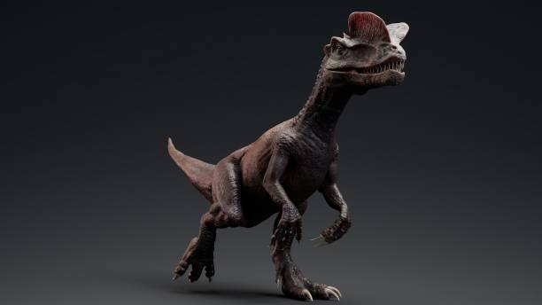 Dilophosaurus pose render of background. 3d rendering stock photo