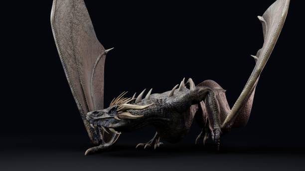 istock Wyvern type Dragon pose render of background. 3d rendering 1496211381