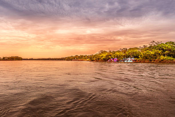 istock Landscape in Colombian planes 1496221287