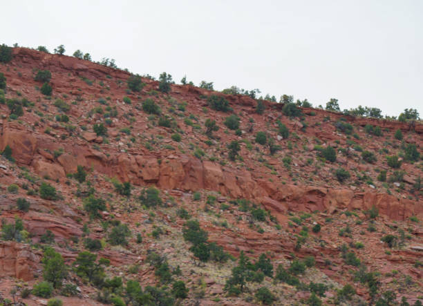 istock Beautiful view from the trail in Kanab, Utah 1496221955
