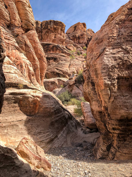 istock Red Rock Canyon in Las Vegas 1496222276