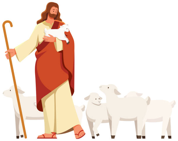 ilustraciones, imágenes clip art, dibujos animados e iconos de stock de jesús el buen pastor sobre blanco - shepherds staff