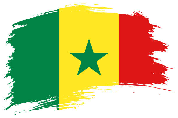 senegal-pinselstrich-flaggenvektorhintergrund. handgezeichnetes senegalesisches isoliertes banner im grunge-stil - senegal africa vector illustration and painting stock-grafiken, -clipart, -cartoons und -symbole