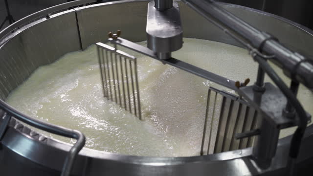 Curd and whey in tank at cheese factory with modern equipment.