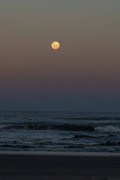 istock Full moon rising over the sea 1496264798