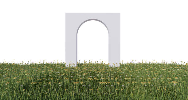 istock grass field with with flowers abstract white arch wall 3D rendering white background Isolated transparent PNG. 1496265337