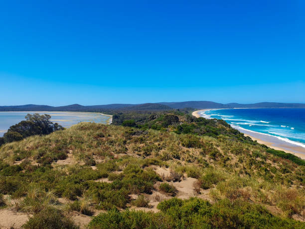 istock The Neck in Bruny Island 1496267253