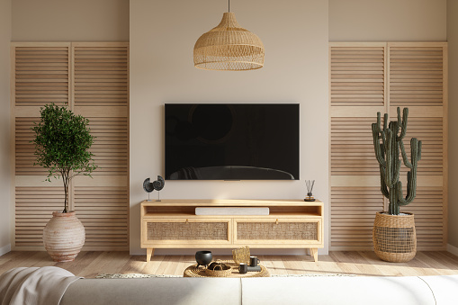 Living Room Interior With Smart Tv, Cabinet, Sofa, Cactus Plant And Coffee Table