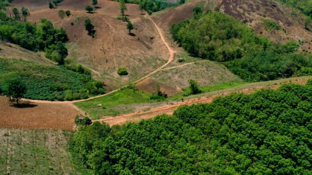 istock Drone, area and rubber plantations, mountain. 1496283077