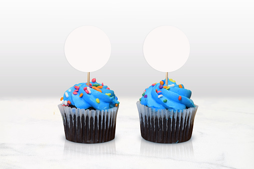Closeup of two boisterous blue frosted chocolate cupcakes resting in a classy minimalist kitchen scene.