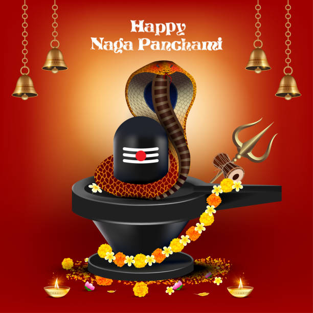 Vector illustration of Nag Panchami. cobra abround decorated shivling Vector illustration of Nag Panchami. cobra abround decorated shivling Nag Panchami stock illustrations