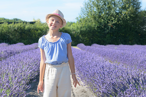 A young girl stands in a blooming lavender field. Straw hat, blue shirt