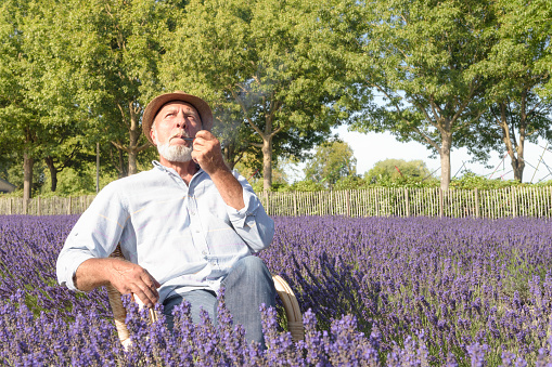 An elderly man is sitting in a straw chair in the middle of a blooming lavender field. enjoying the view