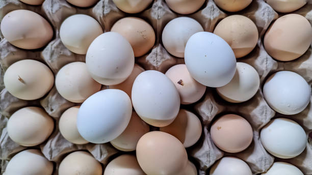 istock A collection of fresh free-range chicken eggs 1496292355