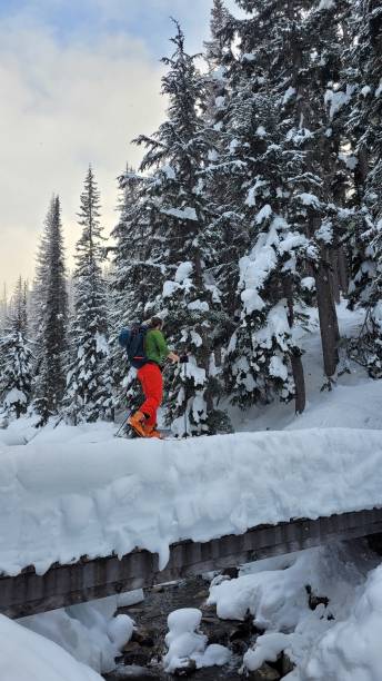 istock Back country ski touring in Rogers Pass 1496292488