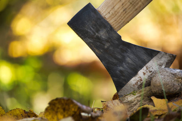 Close up of an axe blade embedded into the wood stock photo