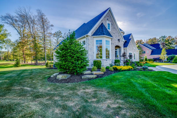 Green grass and dry grass on property