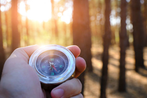 istock Travel with compass in hand in pine sunny forest. 1496294254