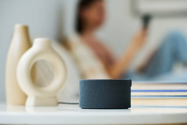 istock Using smart speaker in the room at home 1496296044