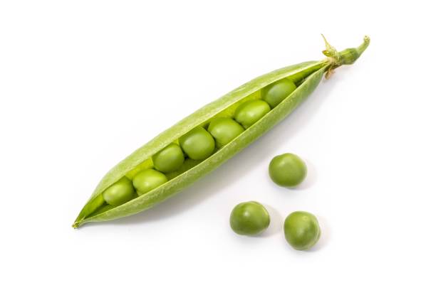 istock Fresh green pea open pod isolated on white background 1496298399