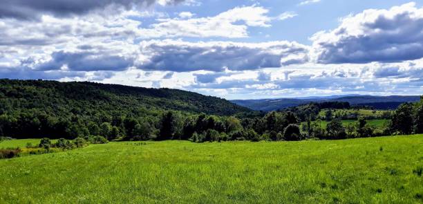istock Lush, green field situated on a picturesque hillside, surrounded by a lush forest 1496301398
