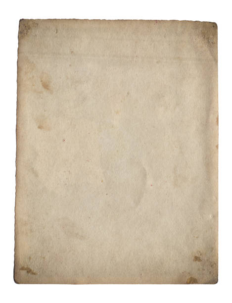 istock Vintage background of old paper texture isolated 1496303483