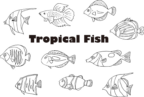 This is an illustration of tropical fish illustration set. It is a hand-drawn analog illustration using a pen. It can be used for websites and printed materials. You can download eps data and jpeg data.