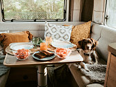 Caravan camping lifestyle with dinner served and dog