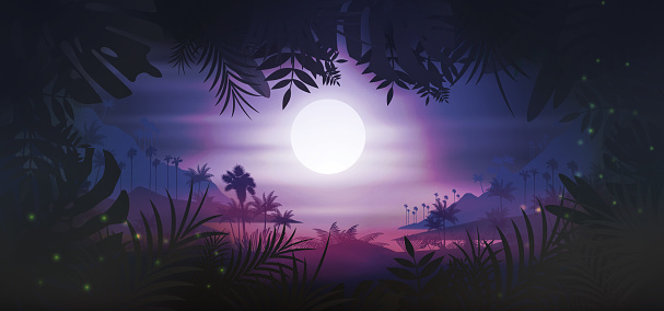 Tropical beach night background with palm leaves