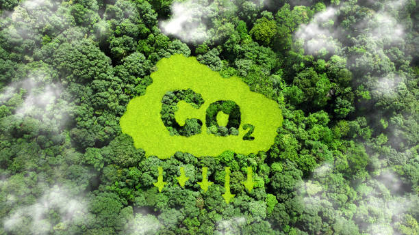 Reduce CO2 emission concept. co2 symbol on green grass in the forest. Lower CO2 emissions to limit global warming and climate change and Sustainable development and business based on renewable energy. concepto de reducción de emisiones de co2. símbolo de co2 en la hierba verde en el bosque. reducir las emisiones de co2 para limitar el calentamiento global y el cambio climático y desarrollo sostenible y negocios basados en energías renovables.