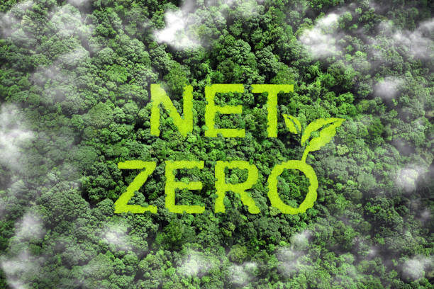 zero emissioni nette e neutre in termini di emissioni di carbonio concept.net testo sull'erba verde con foresta per l'obiettivo di zero emissioni nette di gas a effetto serra strategia a lungo termine climaticamente neutra su sfondo verde. neutralità del  - recycling carbon footprint footprint sustainable resources foto e immagini stock