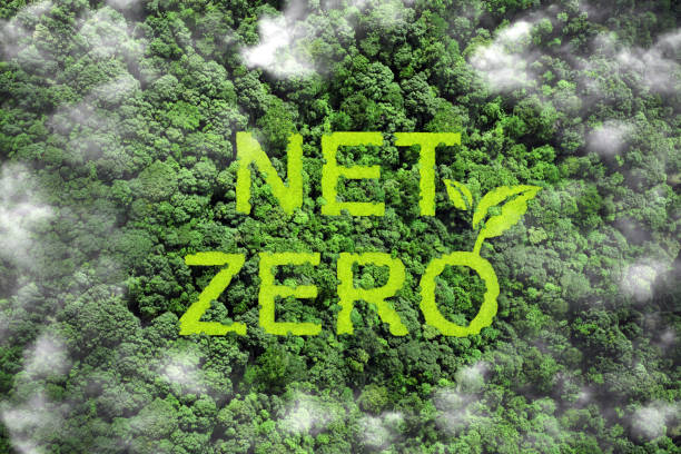 Net zero and carbon neutral concept.Net Zero text on green grass with forest for net zero greenhouse gas emissions target Climate neutral long term strategy on a green background. Carbon Neutrality. Net zero and carbon neutral concept.Net Zero text on green grass with forest for net zero greenhouse gas emissions target Climate neutral long term strategy on a green background. Carbon Neutrality. carbon neutrality stock pictures, royalty-free photos & images