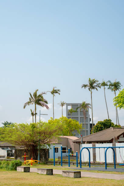 istock Children's playground and palm tree in Yilan, Taiwan 1496310269