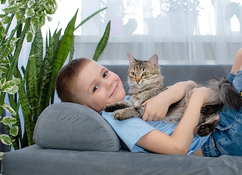 Cozy scene. A child and cat are resting on sofa. Love for animals. Little boy cuddles cute pet in living room of house. Children play with pets.