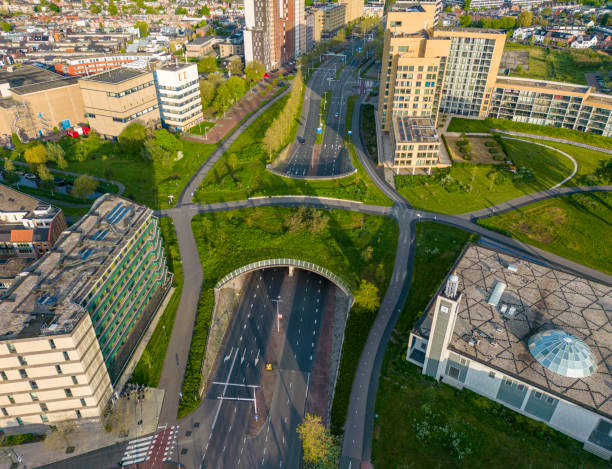 istock Green integration in the city 1496312353