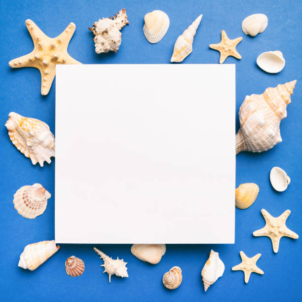 istock Summer time concept with blank greeting card and blank white paper on colored background. Seashells from ocean shore in the shape of frame separated with space for text top view 1496314506